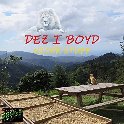 Dez I Boyd - Nicer Stuff
