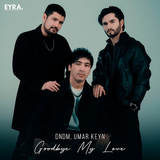 DNDM и Umar Keyn. - Goodbye My Love (Original Mix).
