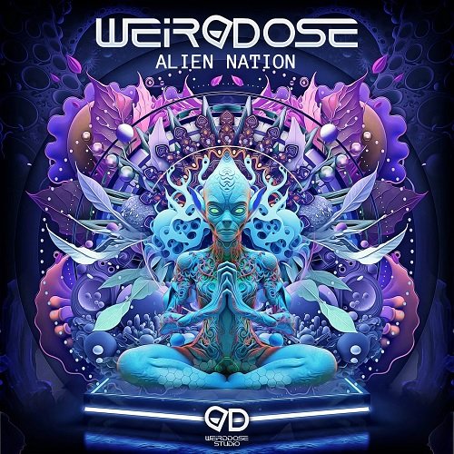 WeirDDose - Acid Fighters (Original Mix)
