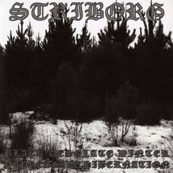 Striborg - Intro