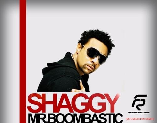 Shaggy - #Mr. Boombastic (Reggae/Moombahton Remix)
