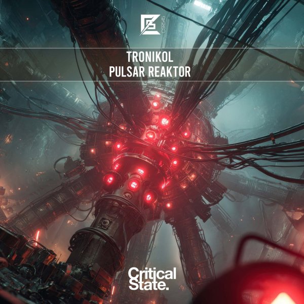 TroniKol - Pulse Reaktor