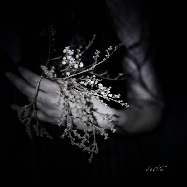 Clouds - Full Album