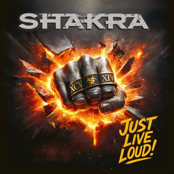Shakra - High Above The Storm