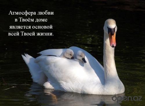 ArtemPanarynOfficial Артём Панарин - Прости меня, Боже - ЖИВАЯ ДУША - молитва покаяния ( Артём Панарин -
