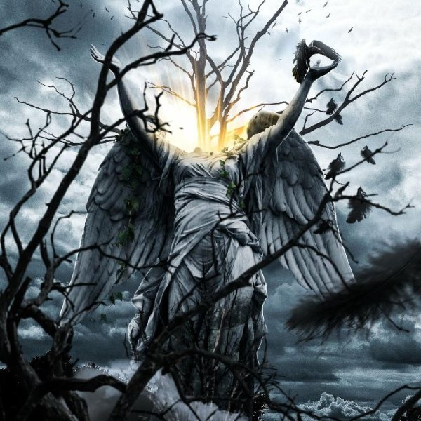 Locusta - Fallen