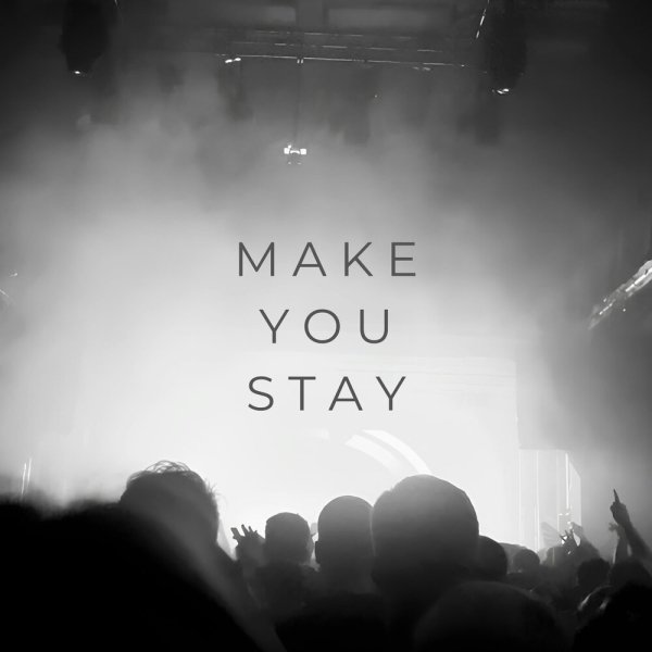 vibessmusic - Make you stay