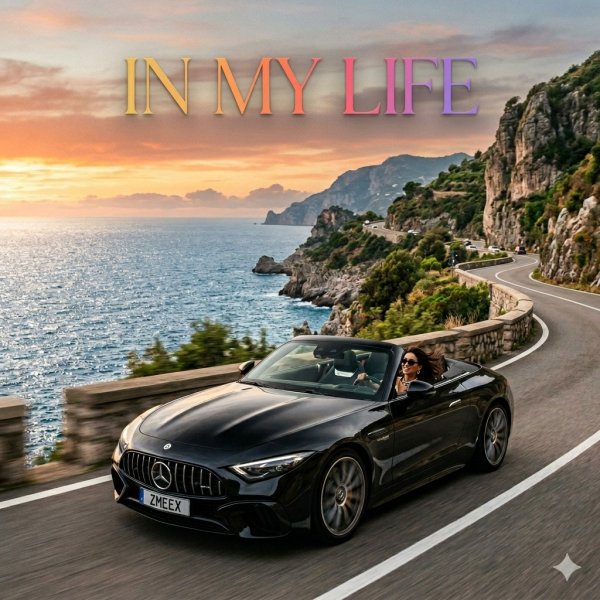 Zmeex - In My Life