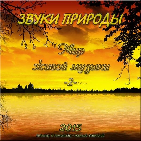 Неизвестный - Чёрный дрозд поёт в ночи