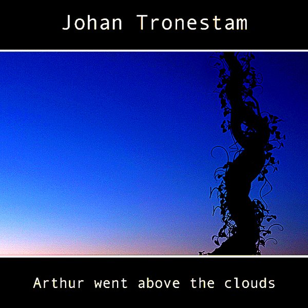 Johan Tronestam - A Reflection On Possibilities