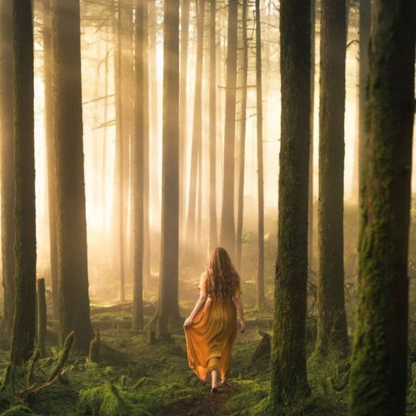 GwFrédéric ChopinMYSTERIOUS FOREST - FRÉDÉRIC FRANÇOIS CHOPINMYSTERIOUS FORESTADAGIO