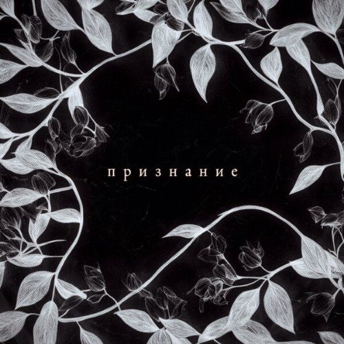 Adetue - Признание