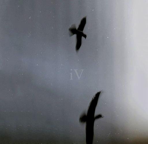 iV - The Look of Silence III
