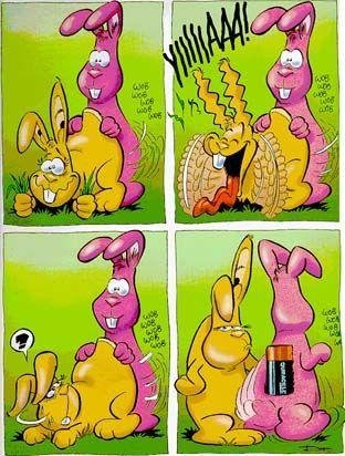 Неизвестный - Заяц