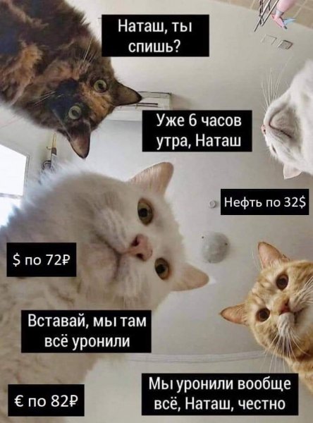 ESqSKdBWAAAyGLM