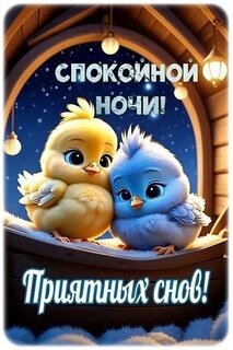 IMG-20250207-WA0027