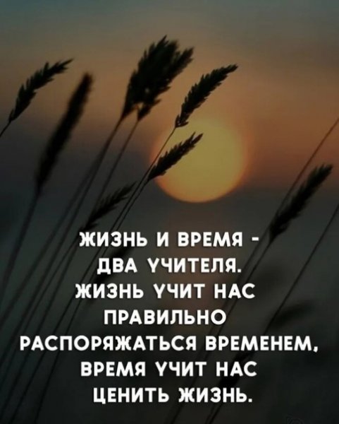 Жизнь и время...