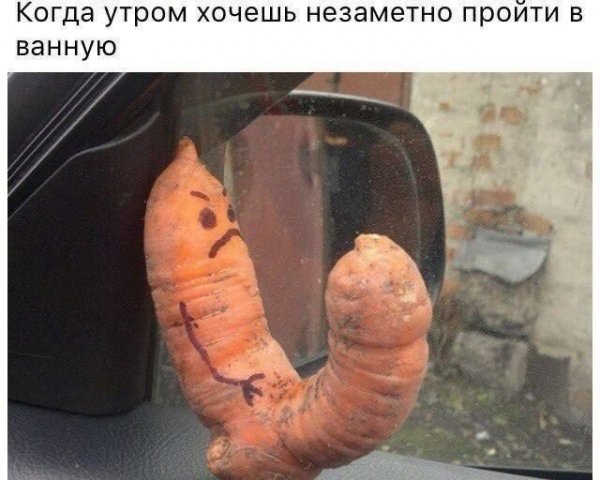 IMG 20260820 145721 518
