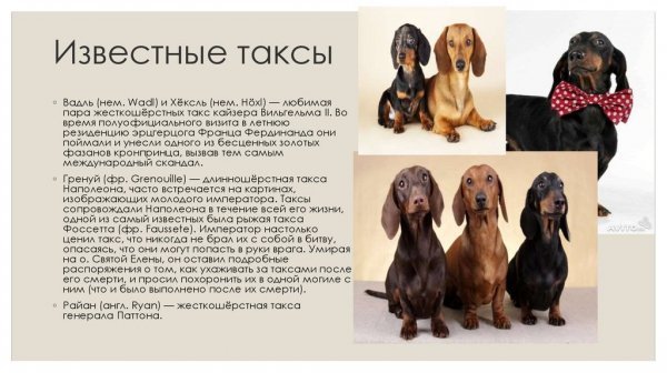Это интересно