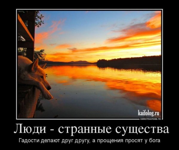 Люди - странные существа