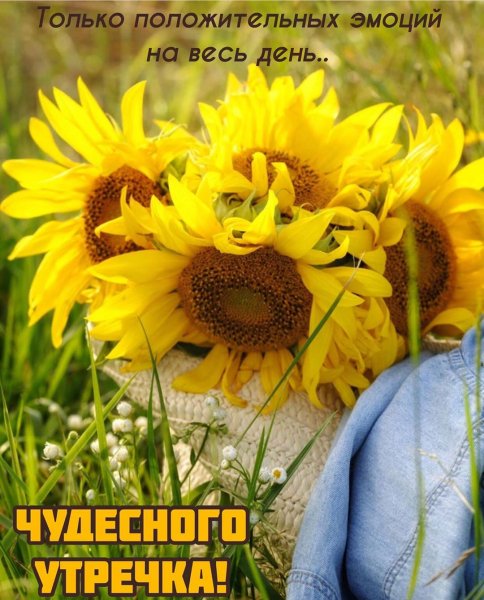 marinaalekminskaya 20200817 18