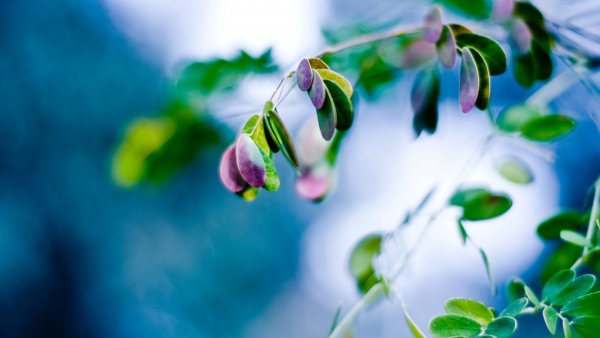 picture_151578617