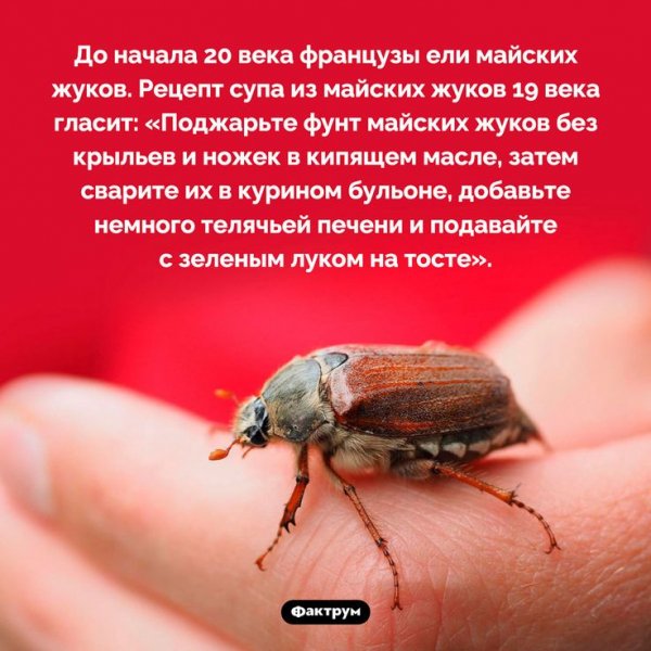 Это интересно