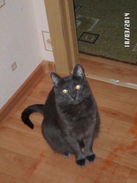 SAM 0144