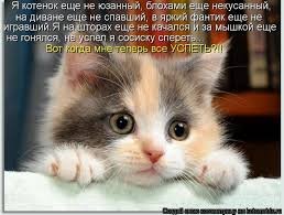 images (22)