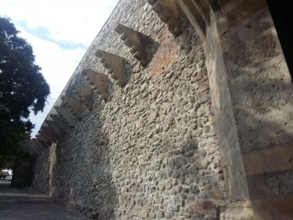 picture_304821120