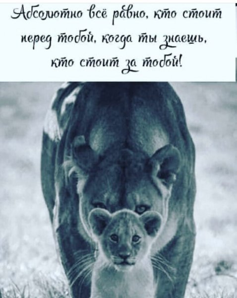 image (3) (20)