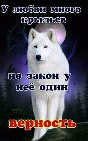 FB IMG 15948006200556367
