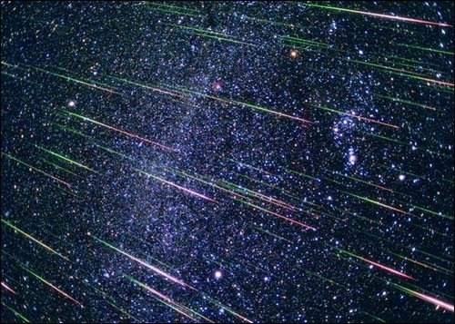 leonids