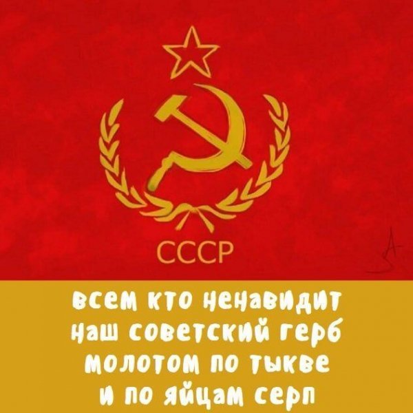 p.600.600.0