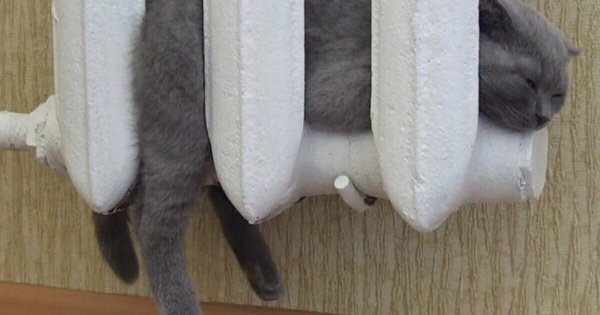 Замерз на улице