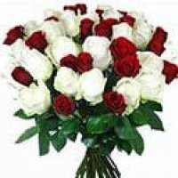 розы