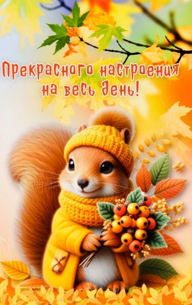 IMG-20241116-WA0014