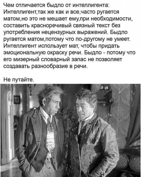 Интеллигент