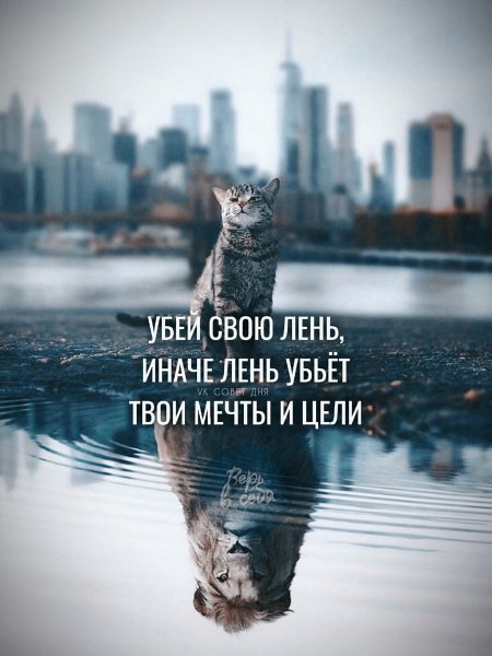 Is2adIJNpyP6AYW0mF4oi8EwLeswviyaZwGG0wNuByhb4GT