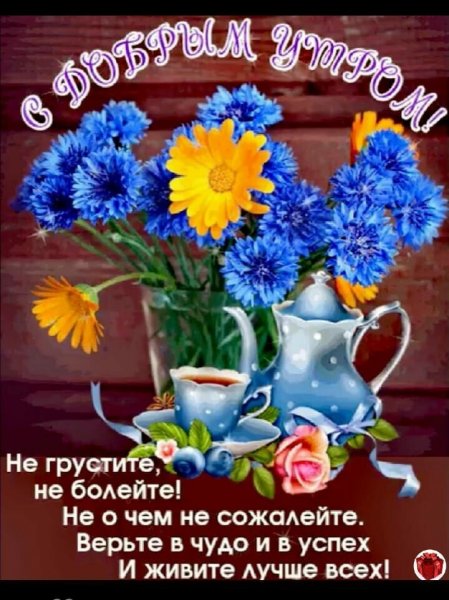 IMG-20210222-WA0000