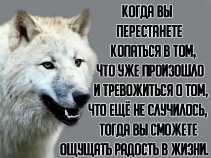 picture_212553855