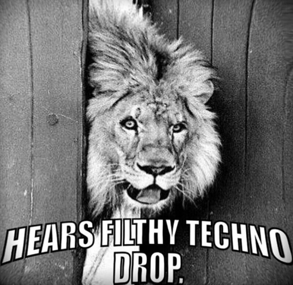 Techno Lion