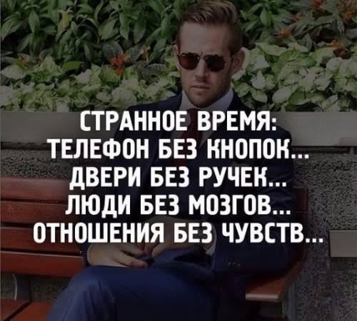 picture_213839955