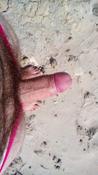 DSC 0050