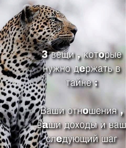 image (3) - 2020-08-08T152322.953