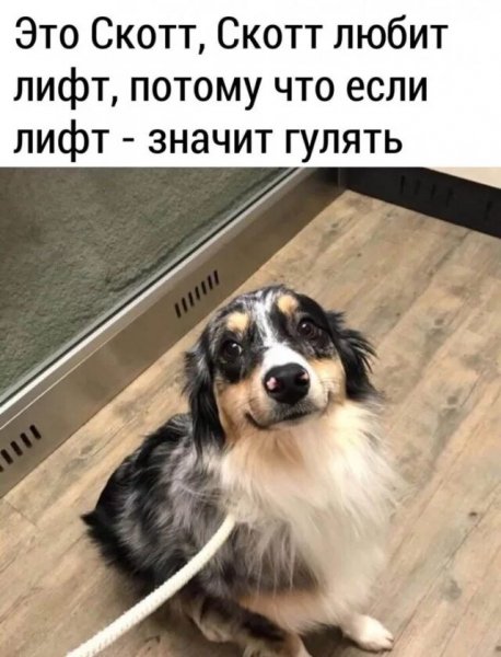 Так! ))