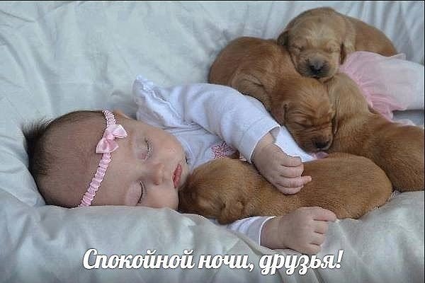 IMG 20171106 220307 25