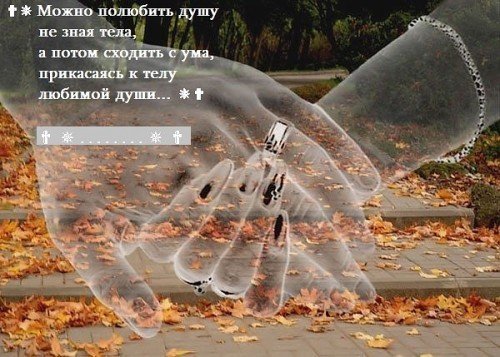 picture_134872594