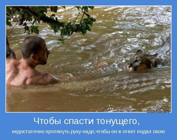 motivatori interesnie-3