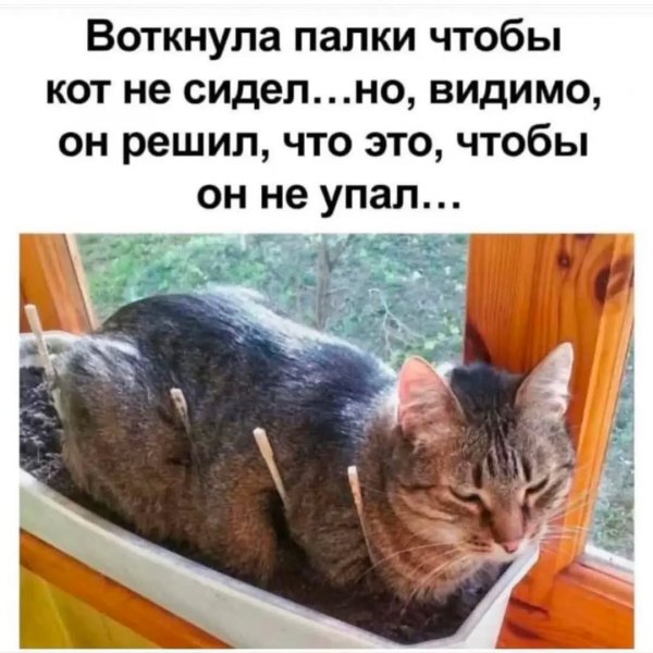 Verdieva1009 bf5464e9efa84cd099754a77eee40669